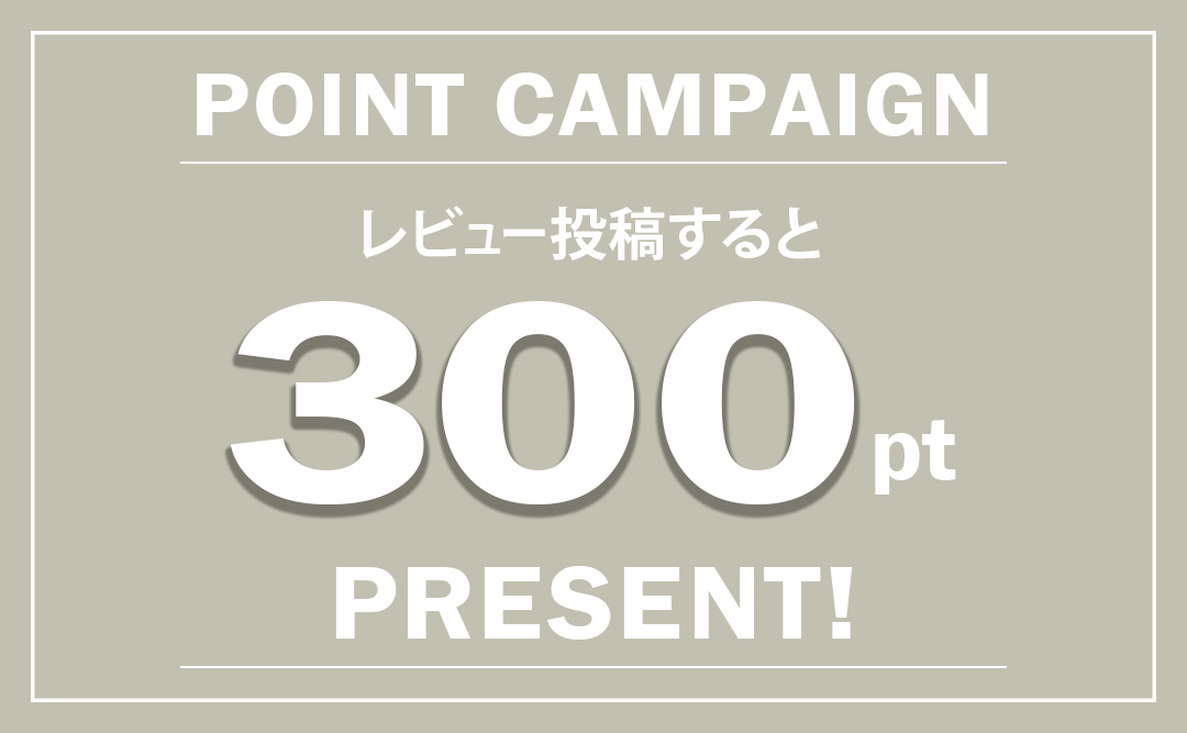 レビュー